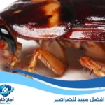 افضل مبيد للصراصير