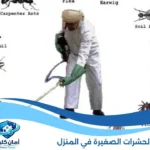انواع الحشرات الصغيرة في المنزل